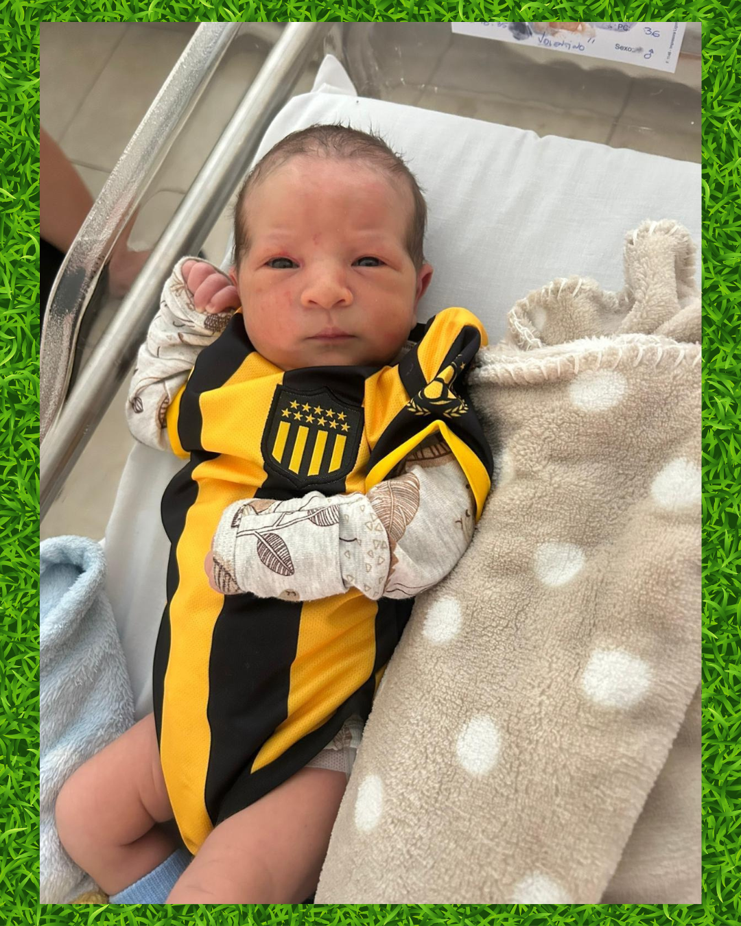 Body peñarol estilo camiseta💛🖤